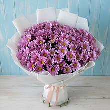 Букет цветов из:  Хризантемы в Ашукино