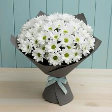 Букет цветов из:  Хризантемы #REPLACE_PRED# Ашукино