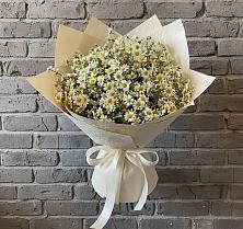 Букет цветов из:  Ромашки в Ашукино