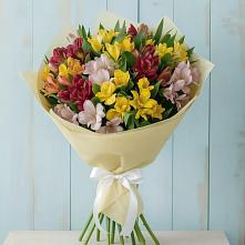 Букет цветов из:  Альстромерии в Ашукино