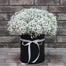 Цветочная композиция из Гипсофила в шляпной коробке в Ашукино