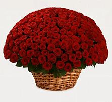 Премиум букет из: Розы в Ашукино