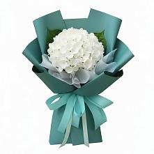 Букет цветов из:  Гортензия #REPLACE_PRED# Ашукино